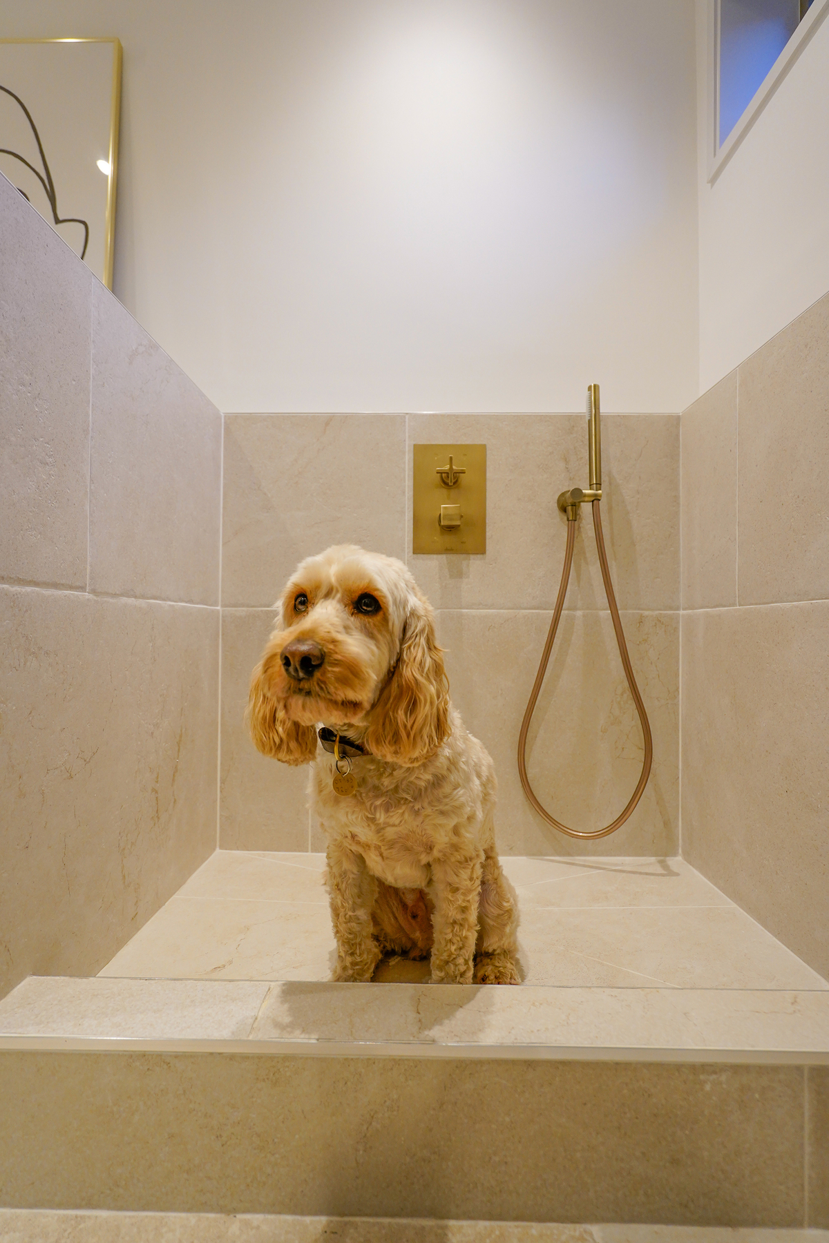 Boot room spaces by design stamford2