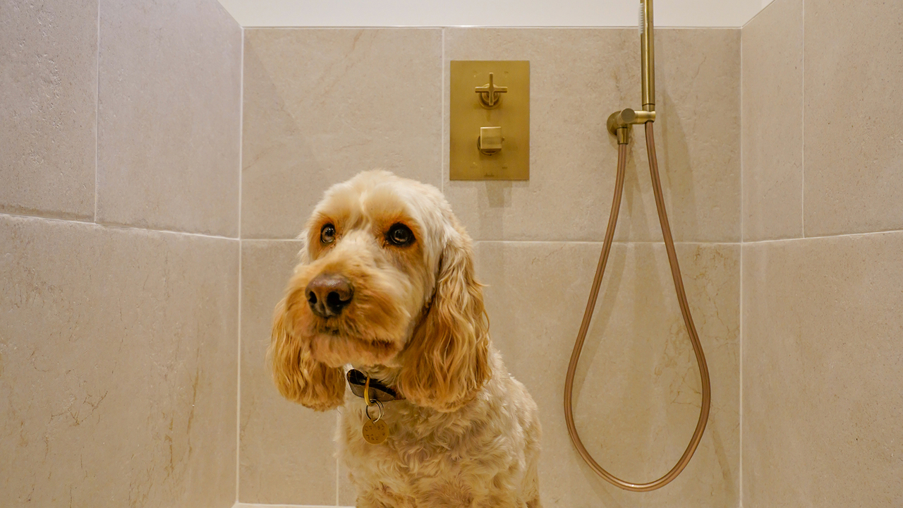 Boot room spaces by design stamford2